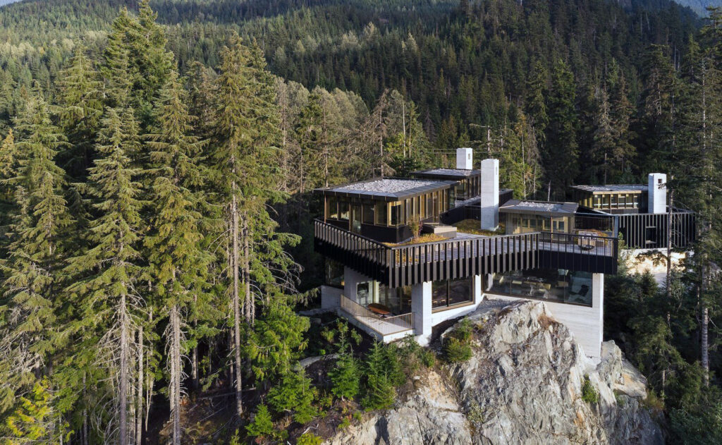 vetiver bioingeniería